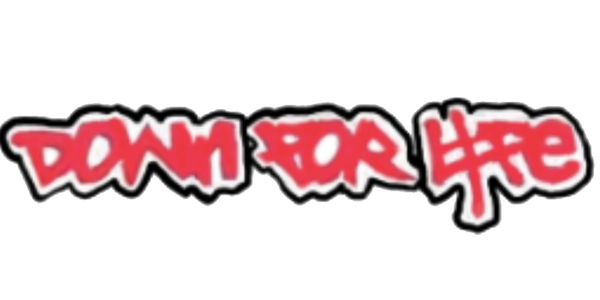 Down For Life Inc 